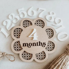 interchangeable wooden monthly milestone sign baby milestone cards