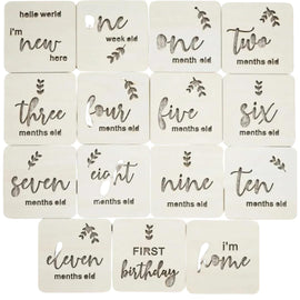 wooden baby milestone cards wood discs baby shower gift milestone props photo